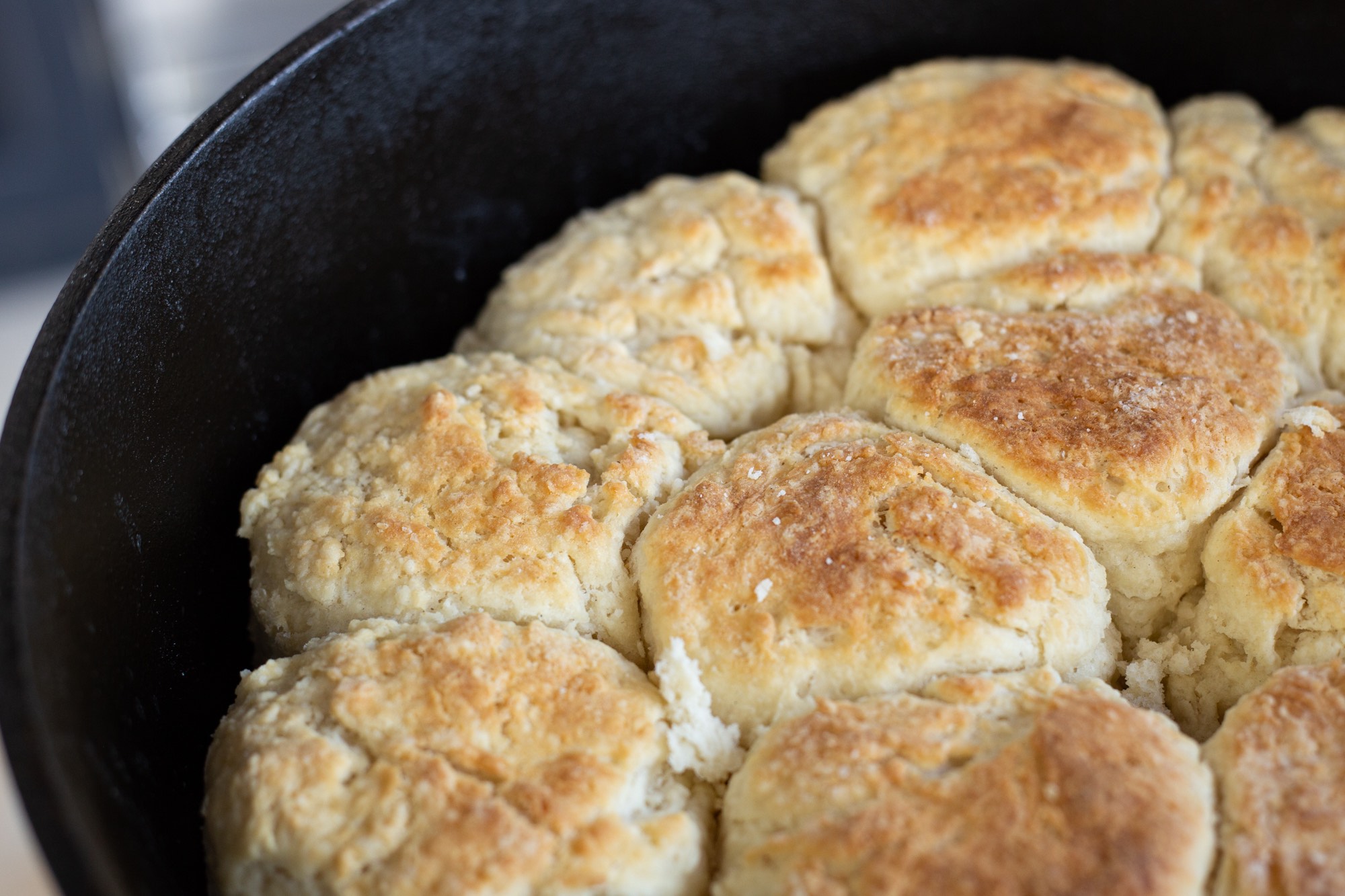 Chef Todd's Famous Biscuits — Orson Gygi Blog