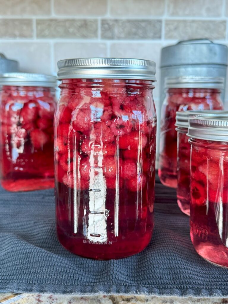 preserving fresh raspberries