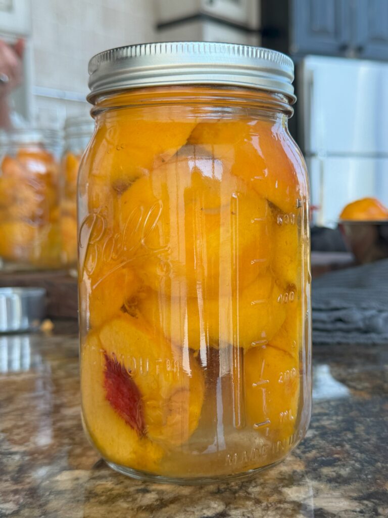 bottled peaches