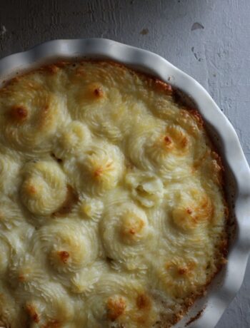 classic shepherds pie on a textured grey background