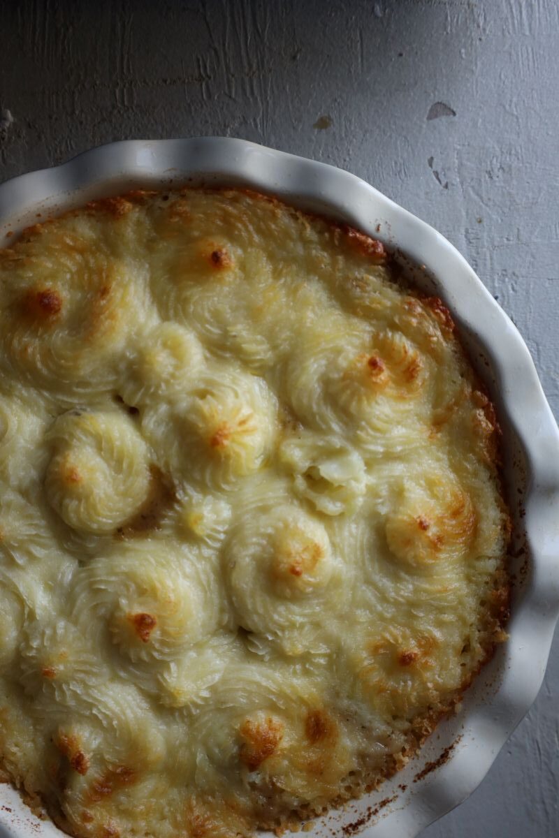 classic shepherds pie on a textured grey background